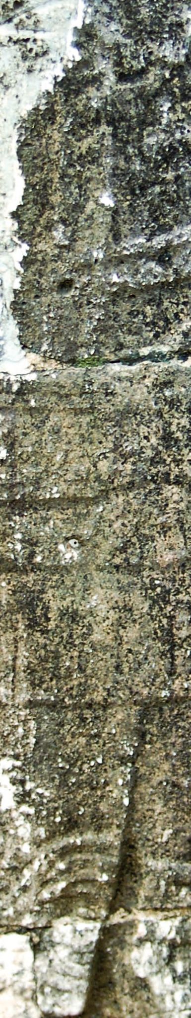 Besserer Hochwasserschutz dank Schaubergers Naturverständnis – Abbildung 5