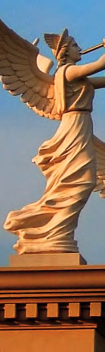 und Himmelstrompeten – Abbildung 13