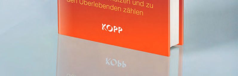 Ein Computerbildschirm mit rotem und grauen Hintergrund.