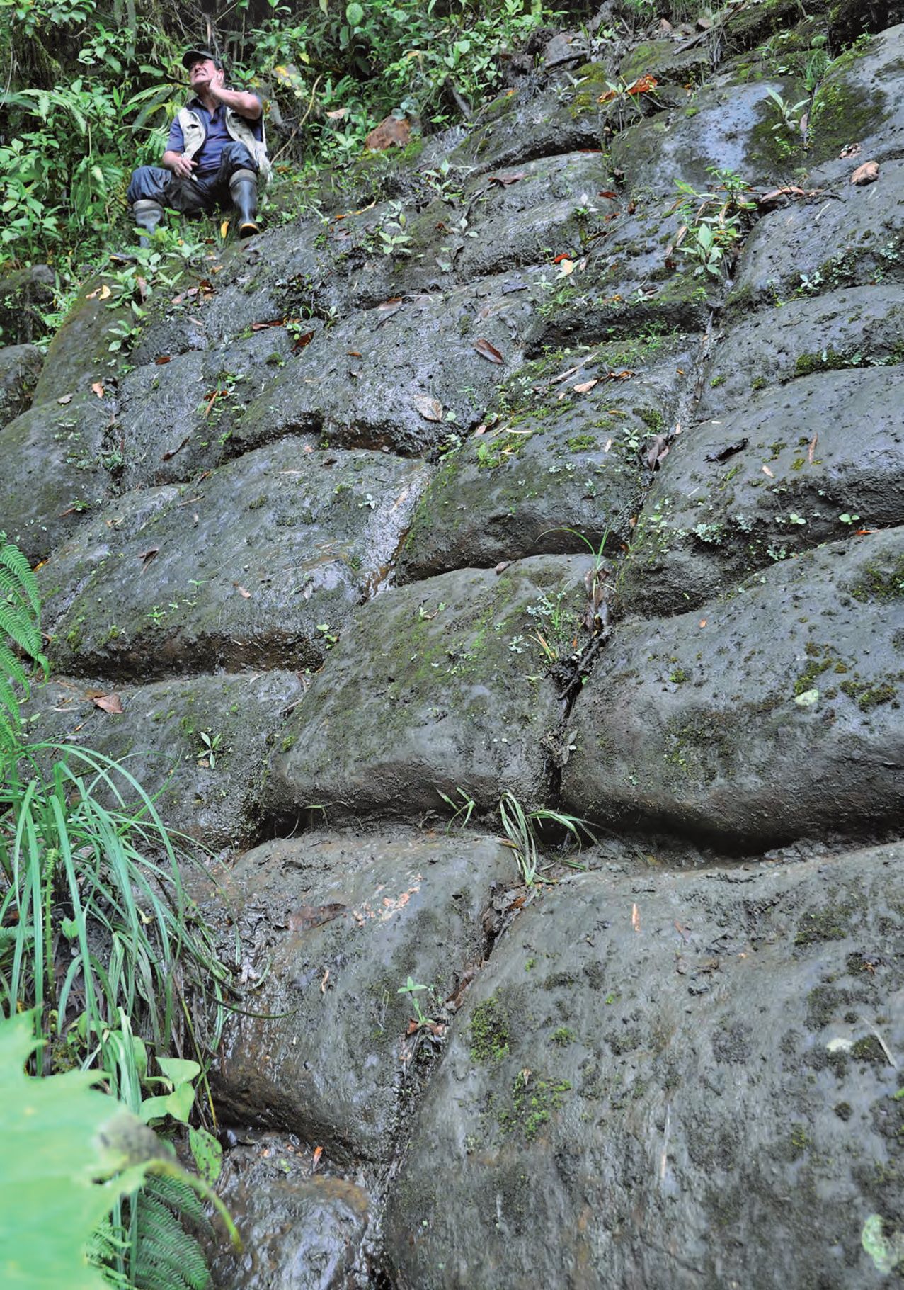 Ein Mann, der eine Felswand im Wald klettert.