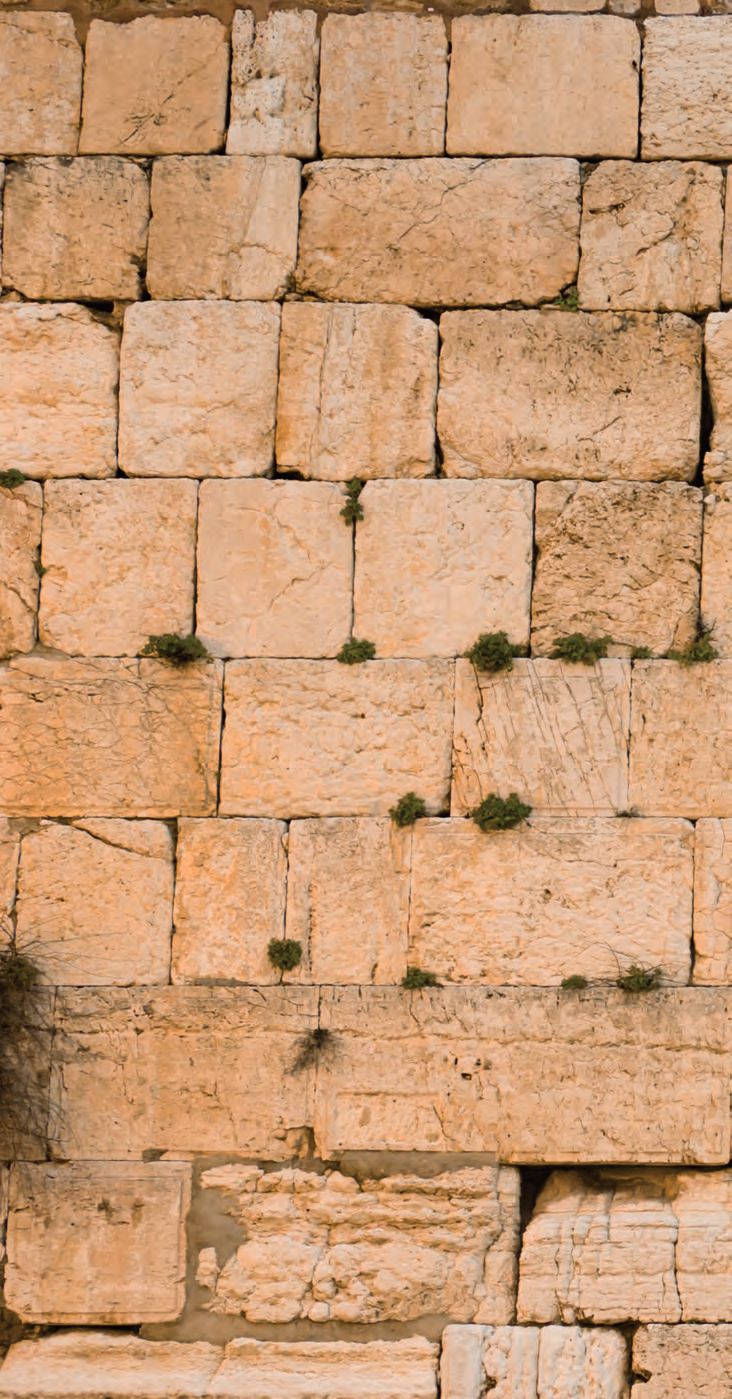 Eine Mauer aus Ziegeln mit kleinen Pflanzen.