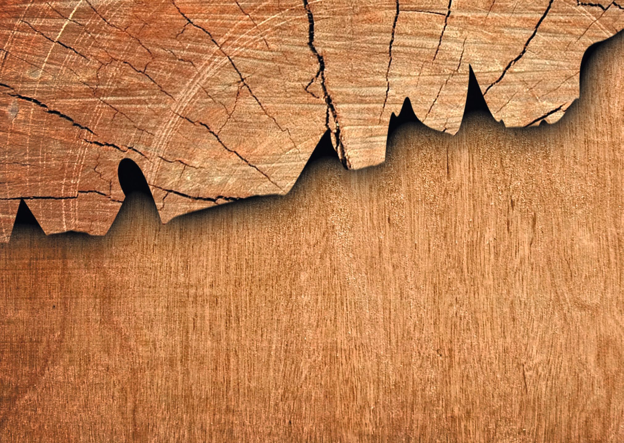 Eine Holzfläche mit Rissen darin.