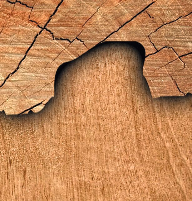 Eine Holzwand mit Rissen.