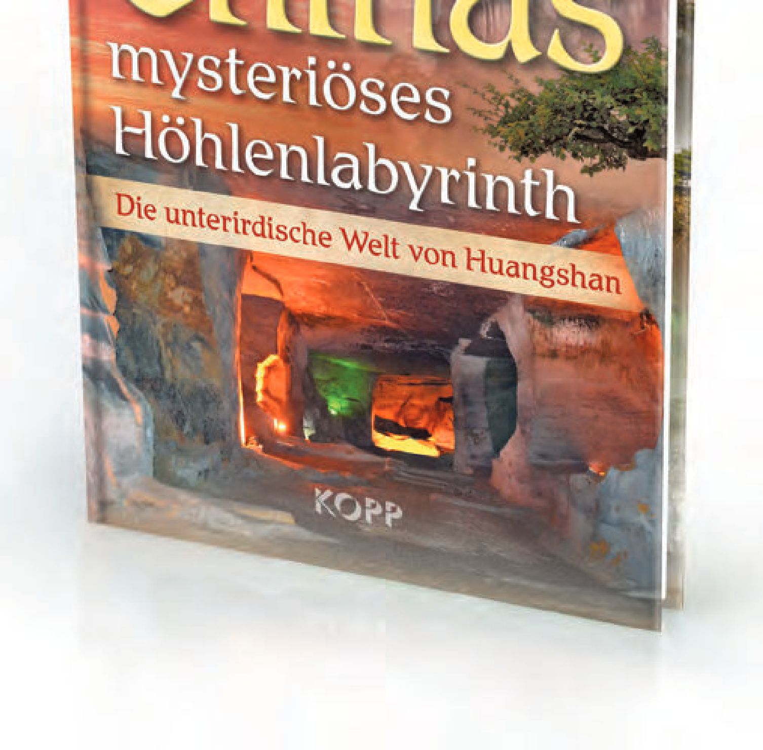 Ein Buchcover mit einer Waldszene darauf.