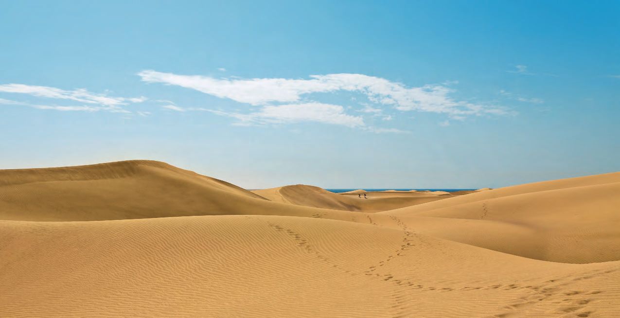 Eine Wüstenlandschaft mit blauem Himmel und Wolken.