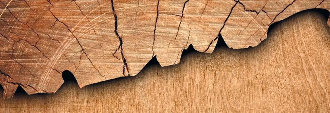 Ein Stück Holz mit Rissen.