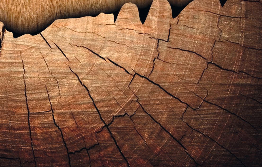 Eine Holzfläche mit Rissen.