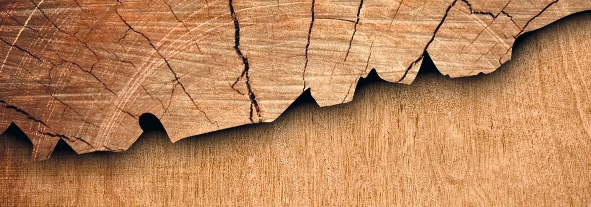 Ein Stück Holz mit Rissen.