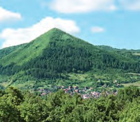 Ein großer Berg mit vielen Bäumen.