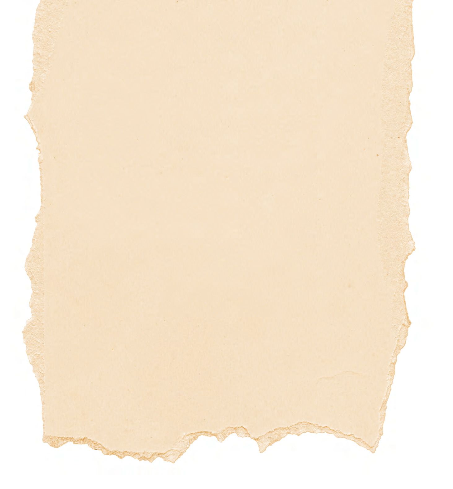 Ein Stück Papier, das zerrissen ist.