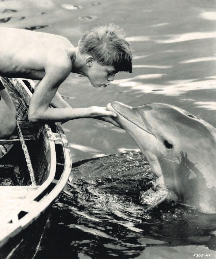 Ein Junge spielt mit einem Delfin im Wasser.