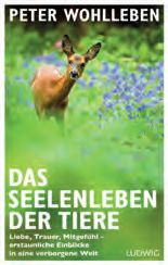 Ein Plakat eines Hirschens auf einem Feld mit den Worten "Peter Wohlleben".