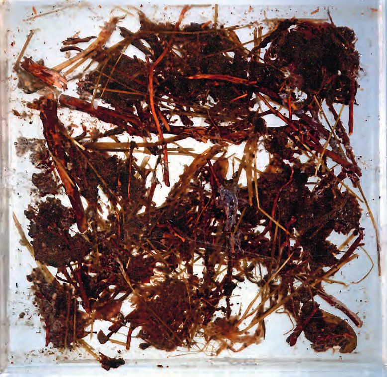 Ein Gemälde mit braunen und orangefarbenen Stöcken in einem Quadrat.