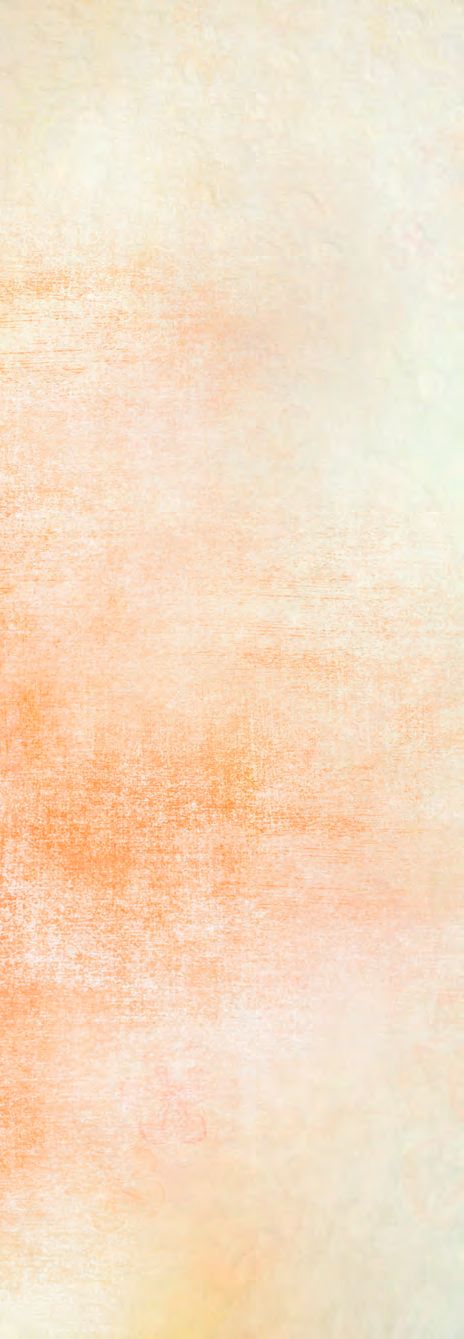 Eine weiße und orangefarbene Wand mit schwarzer Grenze.