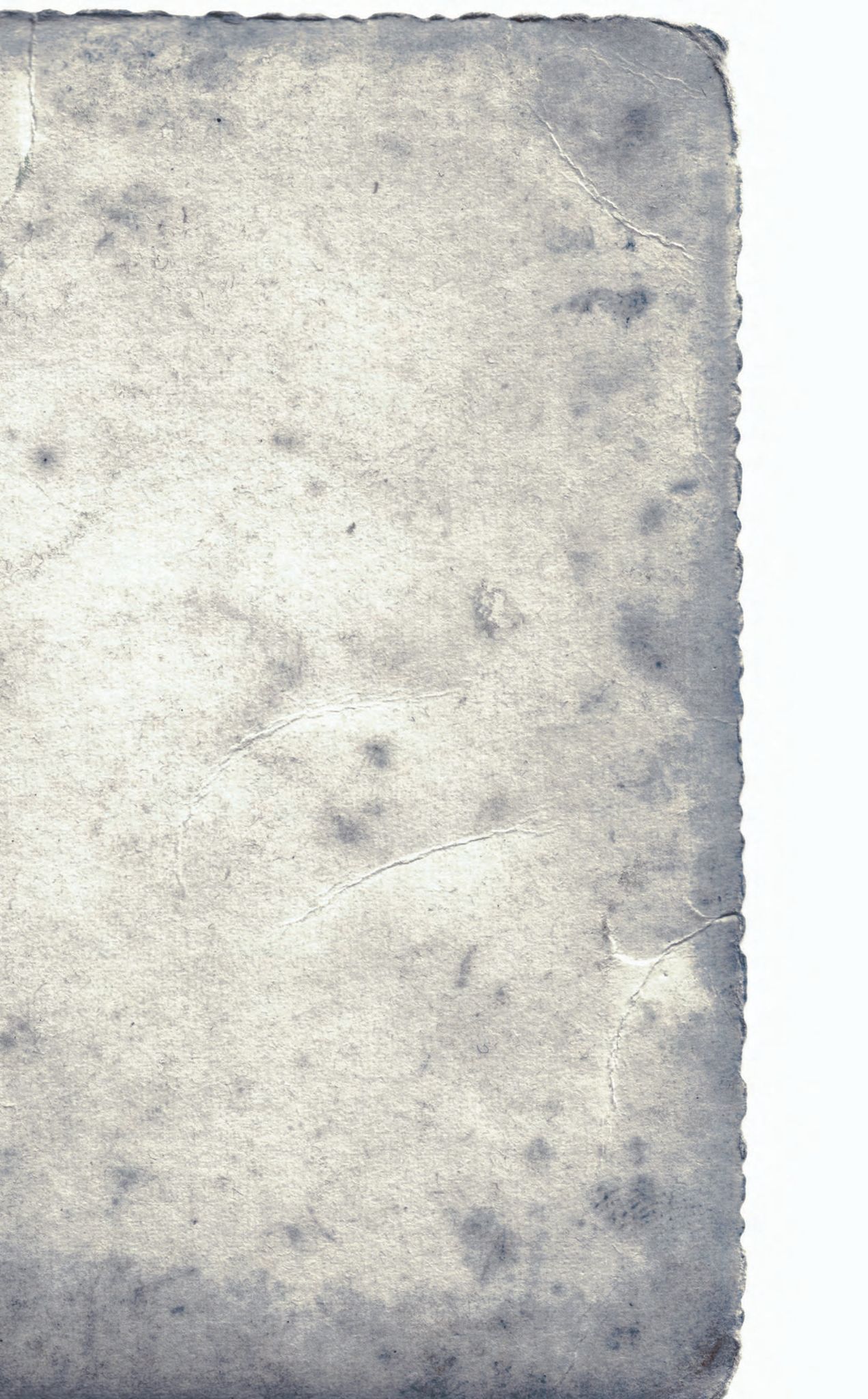 Ein Stück Papier mit einem Riss drin.