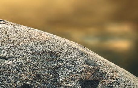 Ein Felsen mit einem schwachen Hintergrund im Hintergrund.