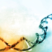 Eine Doppelhelix ist auf diesem Bild angezeigt.