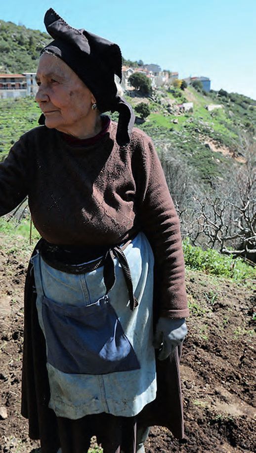 Eine Frau in einem braunen Hemd und Schürze steht auf einem Feld.