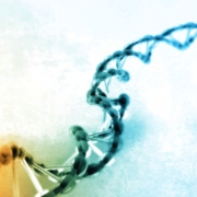 Auf diesem Bild wird eine Doppelhelix von DNA gezeigt.