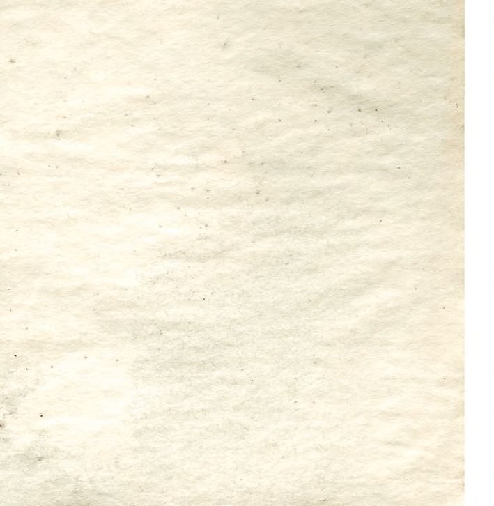 »Im Gegensatz zu anderen Regionen der Welt ist die europäische Heiltradition leider ein wenig verschüttet worden«, bedauert Tobias Niedenthal von der Forschergruppe Klostermedizin des Institutes für Geschichte der Medizin an der Universität Würzburg. Umso intensiver nimmt man sich dort der IdentiÀzierung und wissenschaftlichen Analyse von HeilpÁanzen in uralten Kräuterbüchern oder Rezepturen an, um das vergessene naturmedizinische Wissen unserer Vorfahren wieder nutzbar zu machen. Wenn es um unser WohlbeÀnden geht, empÀehlt der bestens informierte Naturfreund denn auch lieber einheimische Heilgewächse wie Zwiebeln, Dinkel oder Knoblauch – statt umweltbelastenden, exotischen Superfood. Interview: Jan Fischer – Abbildung 20