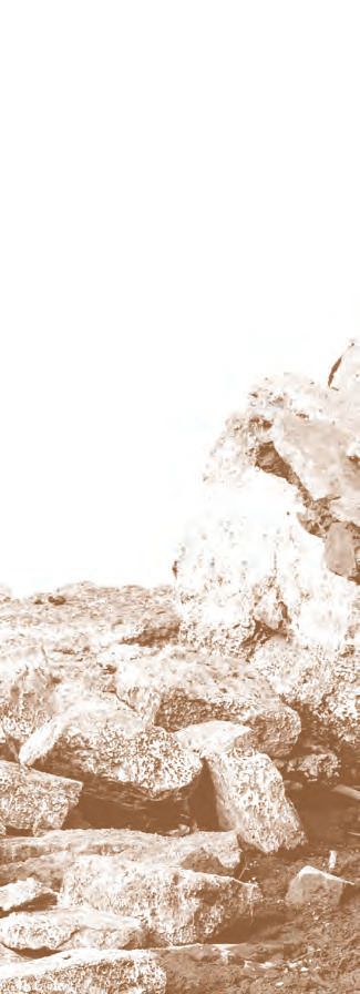 Deutsche Trümmerfrauen: War alles ganz anders? – Abbildung 8