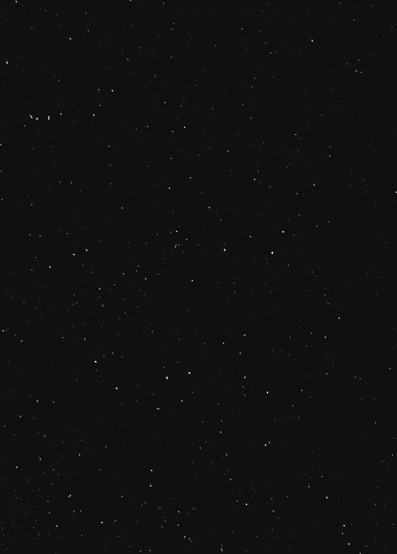 Der geheime Mond-Schatz in den Tresoren von Bern – Abbildung 7