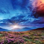 »Wer glaubt, dass die prophetische Mission Fatimas beendet sei, der irrt sich.« – Abbildung 1