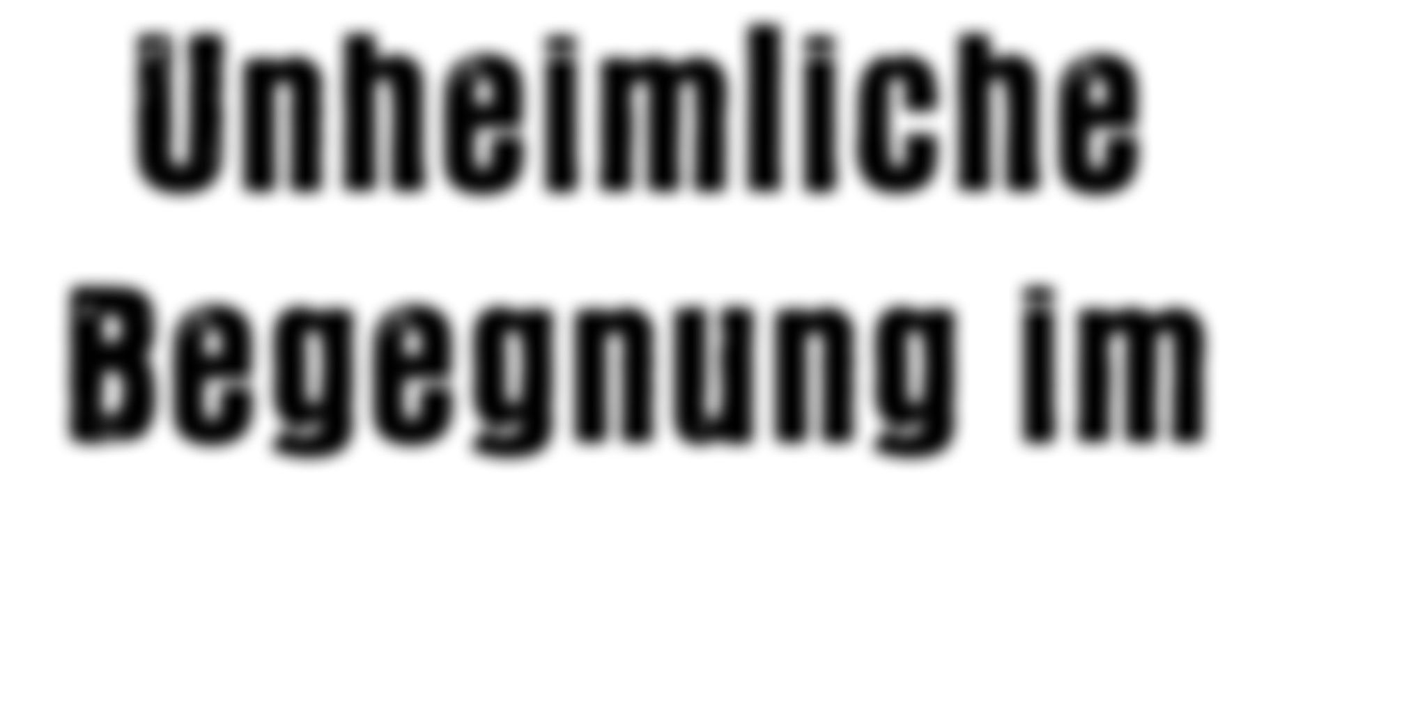Unheimliche Begegnung im – Abbildung 3