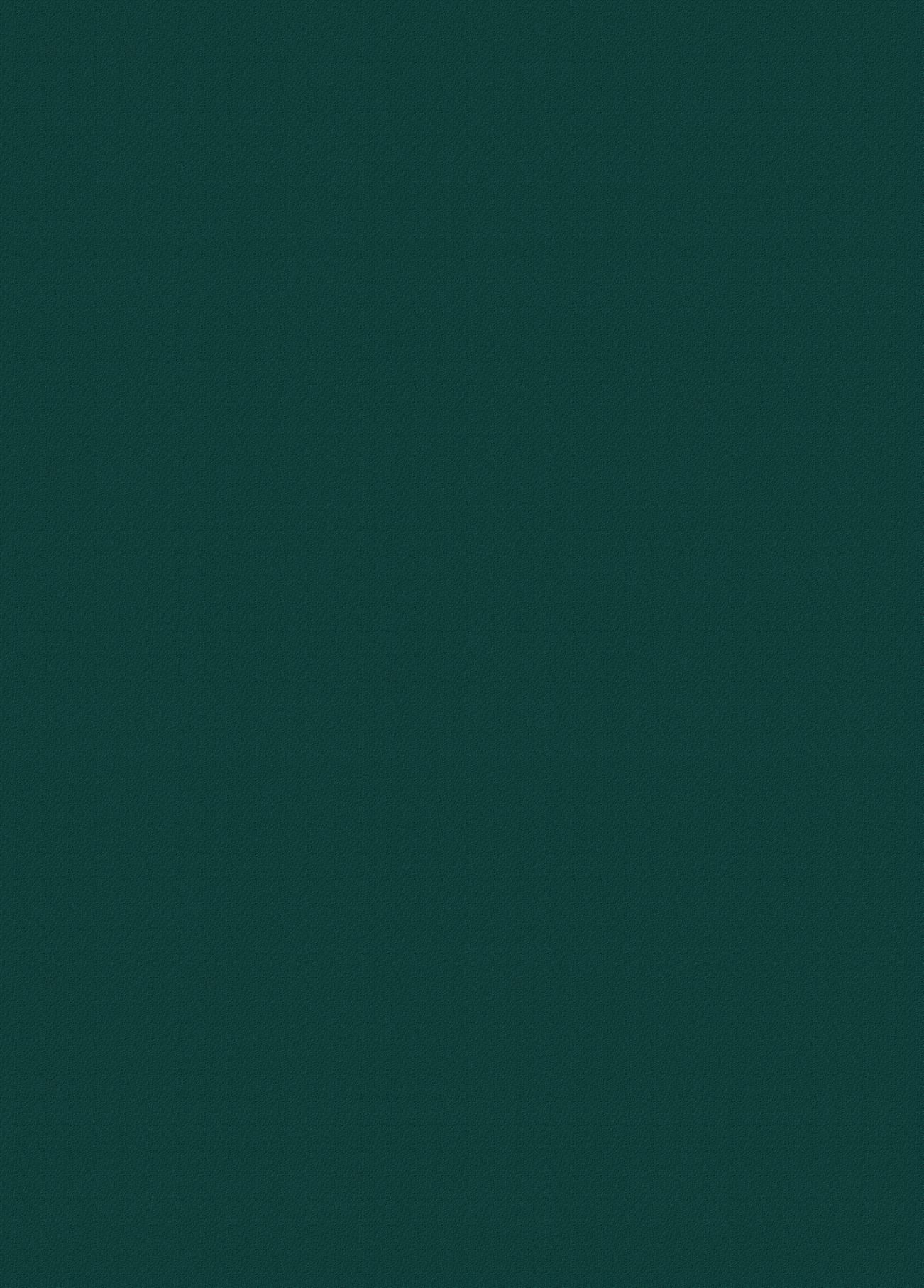 Wirbel um päpstlichen Gruss – Abbildung 7