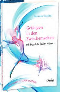 Neuerliche Überraschung – beim Saubermachen – Abbildung 4