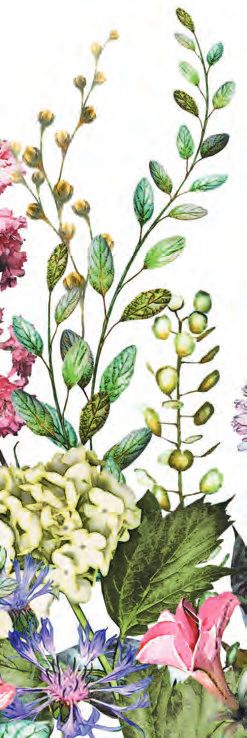 Die Super-Medizin unserer Urahnen – Abbildung 30