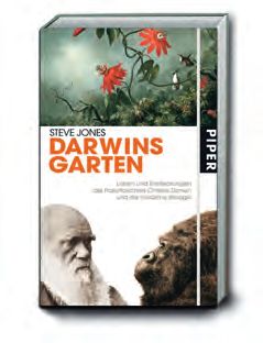 Der Mann auf der Insel – Abbildung 7