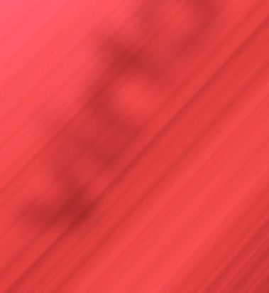 Dieses Werbefeld beachten rund 35’000 Leser. Es kostet 333.– Euro. – Abbildung 106