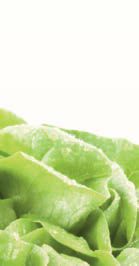 Hau’ rein, was Dir schmeckt: Die grössten Food-Mythen – Abbildung 19