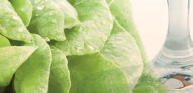Hau’ rein, was Dir schmeckt: Die grössten Food-Mythen – Abbildung 42