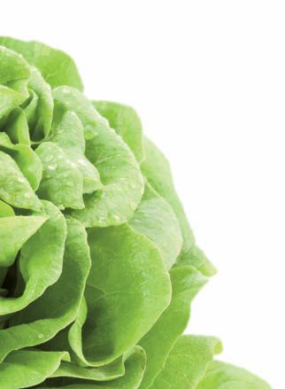 Hau’ rein, was Dir schmeckt: Die grössten Food-Mythen – Abbildung 43
