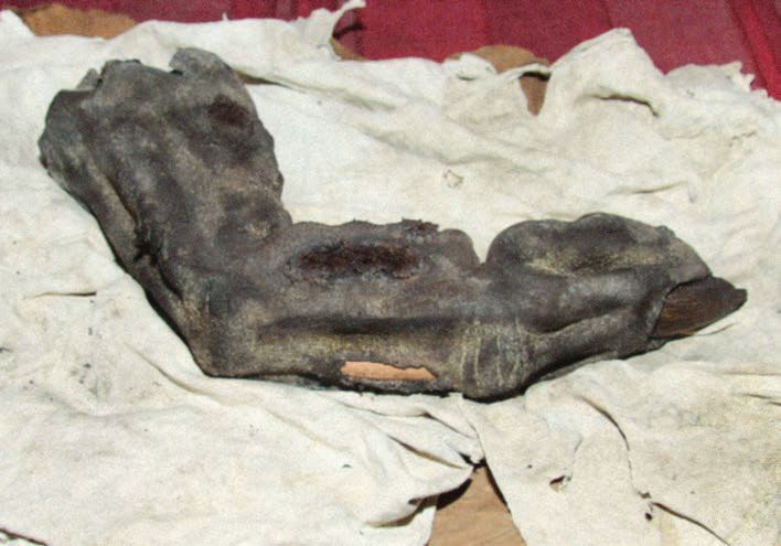r -Kraller -Kralle von vonvonvonvonvonvon Bir Hooker – Abbildung 68