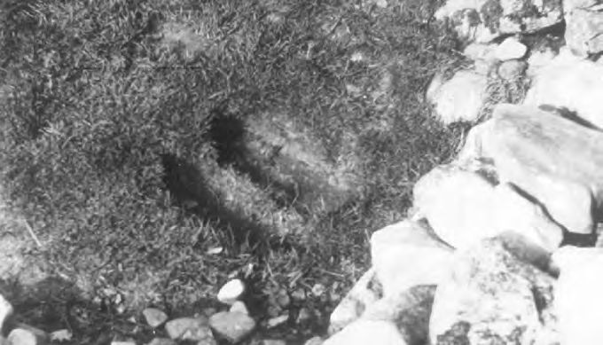 Ein schwarz-weißes Foto von Felsen und Gras.
