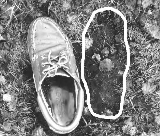 Ein Paar Schuhe, die auf einem gras bedeckten Boden sitzen.