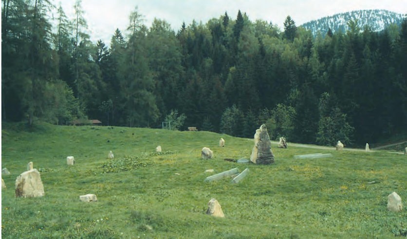 Ein grasiges Feld mit einem Berg im Hintergrund.