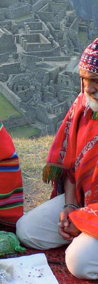 Turbo-Pflanzen dank Indianer-Dünger – Abbildung 13