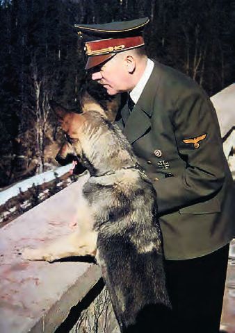 um Hitlers – Abbildung 9