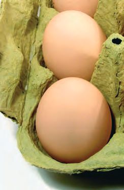 Warnen sich Pflanzen mit Duft – oder gar via Licht? – Abbildung 5
