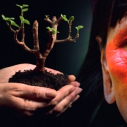 WUNDERSAME INDIO-ERDE IM AMAZONAS-GEBIET: LÄSST SICH DAS GEHEIMNIS DOCH NOCH LÜFTEN? – Abbildung 1