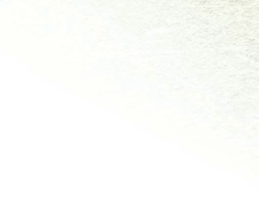 Zederkerne aus dCholesterinsenker, Vitaminbomben und Appetithemmer – Abbildung 4